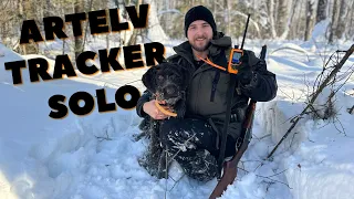 ARTELV TRACKER SOLO. Теперь моя собака НЕ ПОТЕРЯЕТСЯ в ТАЙГЕ. Проверка на дальность. Снимаем капканы