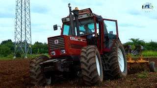 *SOUND* FIATAGRI 180-90 & Moro 4 vomeri | aratura 2019 | agriteam323