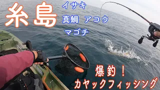 福岡県糸島市志摩野北　多魚種爆釣！イサキも釣れてます！【カヤックフィッシング】