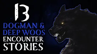 13 SCARY DOGMAN AND DEEP WOODS STORIES  - THE FEAR