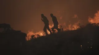 18 Tote in griechischem Waldbrandgebiet – Feuerwehr vermutet Flüchtlinge