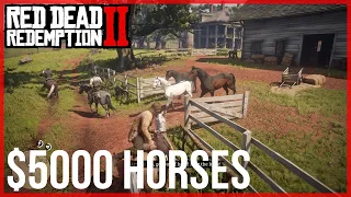 Red Dead Redemption 2 | Horses Worth 5000 Dollars?