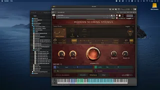 MSS Solo  Shorts Close Mic Only (Modern Scoring Strings by Audiobro)