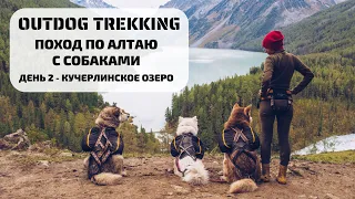 Outdog trekking | Поход по Алтаю с собаками | 2 - Кучерлинское озеро