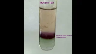 Molisch Test-a group test  for Carbohydrates