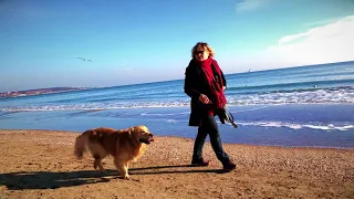 Одесса, пляж, декабрь / Odessa, beach, December