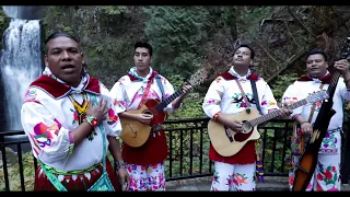 Huichol Musical - Mañana Que Ya No Estes (Video Oficial)