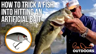 How to Trick a Fish into Hitting an Artificial Bait | Bill Dance Outdoors