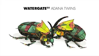 Watergate 25 - Adana Twins