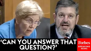 ALMOST UNWATCHABLE: Elizabeth Warren Mercilessly Grills Biden Nominee About 'Shocking' Conflict