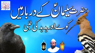 Syed Abdul majeed Nadeem || ہُدہُد کا مقدمہ حضرت سلیمان علیہ السلام کی عدالت میں || Emotional bayan