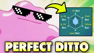 💯 How To Get a PERFECT 6IV DITTO in Pokemon Scarlet & Violet