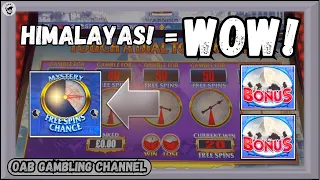 🌷Crazy Thai Flower Wins & A Mental HIMALAYAS RUN! 🤪 BIG SLOT SESSION On The £500 Equinox!