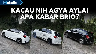 Untuk Pertama Kalinya Kami Komparasi Selengkap Ini! Agya GR VS Ayla VS Brio RS | Moladin