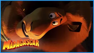 DreamWorks Madagascar | It Tastes Like Chicken! | Madagascar  Escape 2 Africa Movie Clip