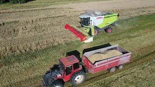 Claas ja kauran puintia