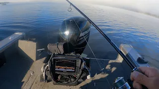 Who will WIN???? Garmin Livescope Plus VS Lowrance ActiveTarget  Jigging for Lakers