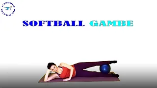 pilates softball gambe | mini ball gambe