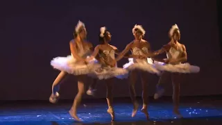 Ballet con Humor - pas de quatre