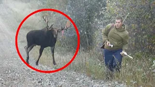 30 Times Hunters Messed With The Wrong Animals