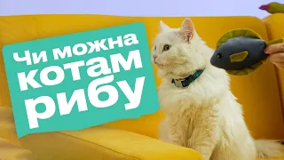 Чи можна котам рибу?