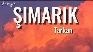TARKAN-ŞIMARIK (lyrics/sözleri)