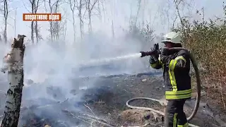 Луганщина: триває гасіння пожеж в екосистемах (Станично-Луганський район)