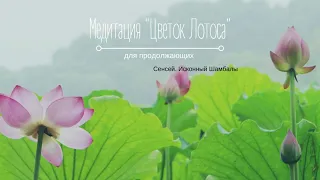 Медитация Цветок Лотоса Сенсей