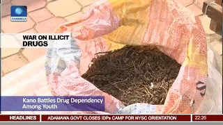 War On Illicit Drugs: Kano Battles Drug Dependency Among Youth