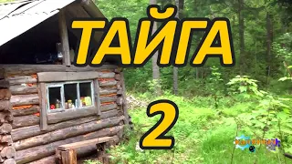 Тайга 2 из 4