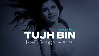 Tujh Bin Lofi Song [Slowed+Reverb] - Bharatt-Saurabh | Aseor Music |