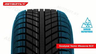 Goodyear Vector 4Seasons SUV ❄️☀️: обзор шины и отзывы ● Автосеть ●