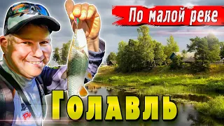 Голавль Летом | По малой реке | Денис Вихров