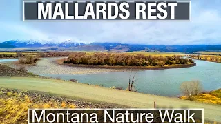 4k Nature Walk in Montana's Paradise Valley - Mallards Rest Rainy Spring Treadmill Trail