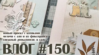 ВЛОГ#150: новый проект с котами, приятные мелочки из фикспрайса, сад завалило снегом