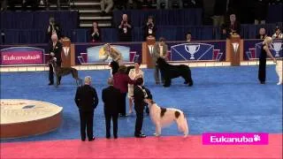 Eukanuba World Challenge Long Version Final