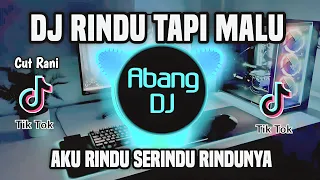 DJ AKU RINDU SERINDU RINDUNYA || RINDU TAPI MALU CUT RANI REMIX VIRAL TIKTOK TERBARU 2023