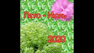 Лето - Июль 2020