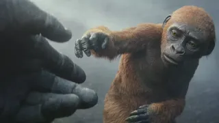 Kong meets Suko and fights scene | Godzilla x Kong