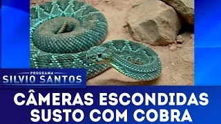 Susto com Cobra | Câmeras Escondidas (07/04/19)