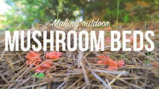 Outdoor Mushroom Beds- The Easiest Way to Grow Edible Mushrooms in Your Garden or Back Yard!
