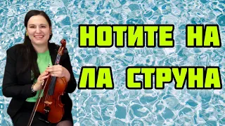 Нотите на Ла Струна -  Уроци по Цигулка / Солфеж