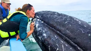 8 Whale Encounters That'll Brighten Your Day