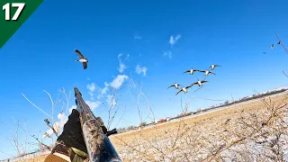 DECOYING Late Season GEESE In TIGHT | Goose Hunting 2023