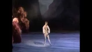 Michal Krcmar - Prince Desire Variation 9.10.2013 (Sleeping beauty - ballet)