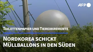 Nordkorea sendet Ballons mit Müll und Tierexkrementen in den Süden | AFP