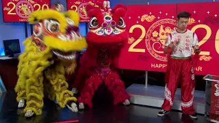 Local Dance Company Performs Lion Dance Ahead of Lunar New Year