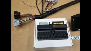 Wiring Harness built with entire ECU Masters Sensor Package