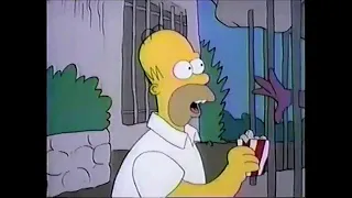 The Simpsons Fox Promo (1990): "Bart the Genius" (S01E02) (20 second)