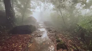 The Green River Trek: Descent from 1400m to 75m at MSL #meghalayatourism #travelvlog #iphone